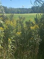 Dreamers Writing Farm