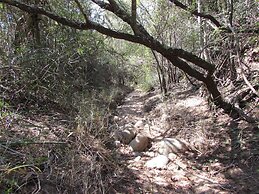 Amanzimlotzi Riverside Bush Camp