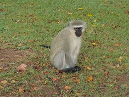 Amanzimlotzi Riverside Bush Camp