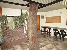 Amazing Tree in Lounge Eco Apartment With Leopards Passing by at Night