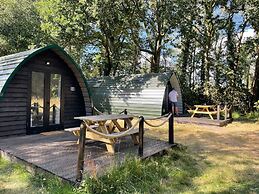 Nightjar Cabin at Cloudshill Glade