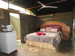 3 bed Bush-tent Under 3 Trees, for Couple Plus Chaperone Free Lionhyen