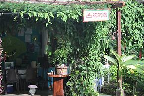 Faith Glamping Dome Costa Rica