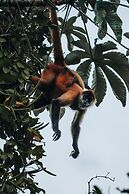 Faith Glamping Dome Costa Rica