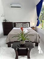 Hotel Serendipity tortuguero
