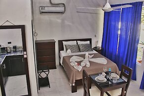 Hotel Serendipity tortuguero