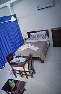 Hotel Serendipity tortuguero