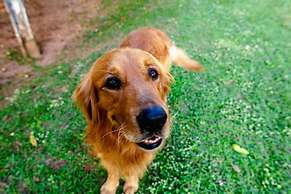 Sítio com piscina e lagoa particular