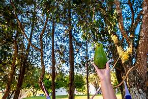 Sítio com piscina e lagoa particular