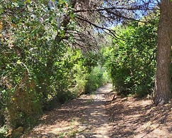 Meraviglioso Panorama sul Mare a Sperlonga