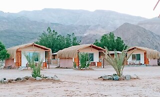 Shanty camp