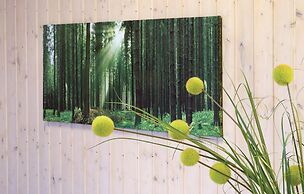 Amazing Home in Rechlin With 2 Bedrooms, Sauna and Wifi