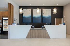 Towneplace Suites by Marriott Canton Riverstone Parkway