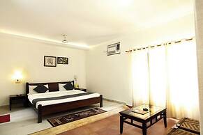 Corbett Aroma Park By Royal Collection