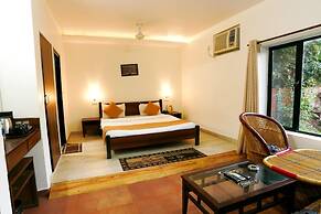 Corbett Aroma Park By Royal Collection