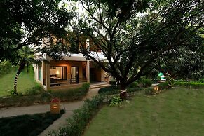 Corbett Aroma Park By Royal Collection