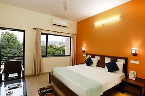 Corbett Aroma Park By Royal Collection