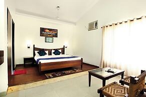 Corbett Aroma Park By Royal Collection