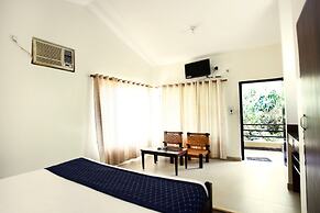 Corbett Aroma Park By Royal Collection