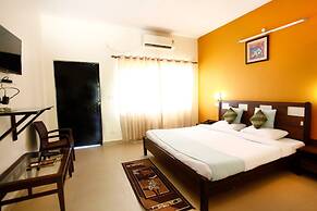 Corbett Aroma Park By Royal Collection