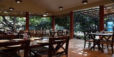 Corbett Aroma Park By Royal Collection