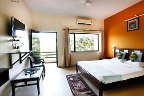 Corbett Aroma Park By Royal Collection