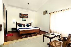 Corbett Aroma Park By Royal Collection