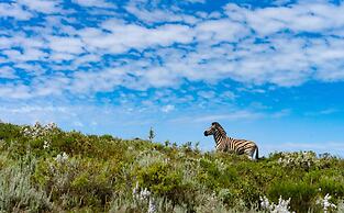 Simbavati Fynbos on Sea
