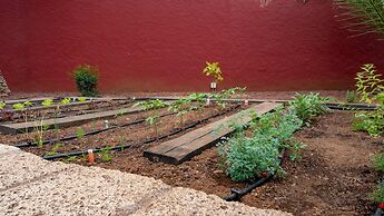 Hotel Ecolife Tenerife