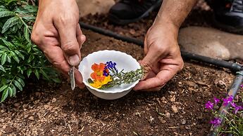 Hotel Ecolife Tenerife