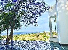 Marbella Boutique Art