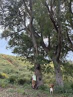 Marbella Boutique Art