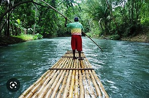 Beautiful 1-bed House in Old Harbour, Gated