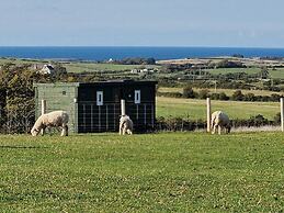 Stunning 1-bed Shepherd hut