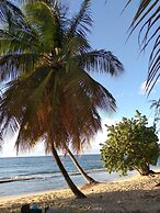 Honiiwell rooms and suites