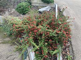 Orbost Country Man Motor Inn