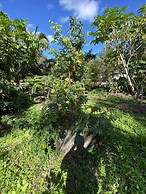 Luxury Oceanview Pool Eco-friendly Villa Near Key West