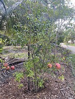 Luxury Oceanview Pool Eco-friendly Villa Near Key West