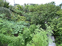 Luxury Oceanview Pool Eco-friendly Villa Near Key West