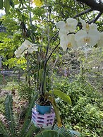 Luxury Oceanview Pool Eco-friendly Villa Near Key West