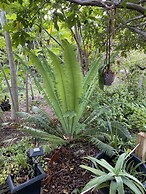 Luxury Oceanview Pool Eco-friendly Villa Near Key West