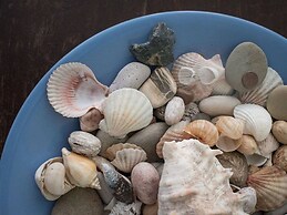 Ventura Beach Cottage Available