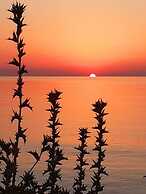 Attic on the sea of Avola