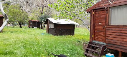 Kelebekler Vadisi Butterfly Valley