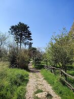 Kelebekler Vadisi Butterfly Valley