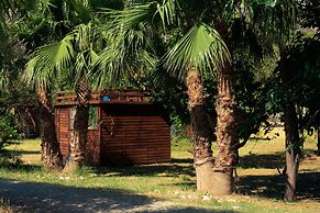 Kelebekler Vadisi Butterfly Valley