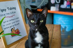 Bodega Pai Party Hostel