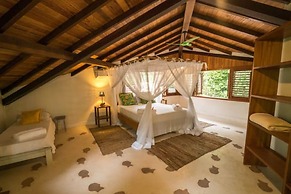 Casa do Arvoredo - casa com serviços