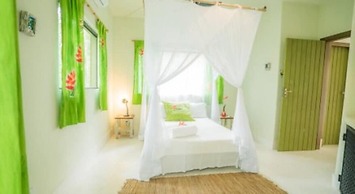 Casa do Arvoredo - casa com serviços