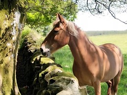 Stunning 2-bed Apartment in Newton Stewart